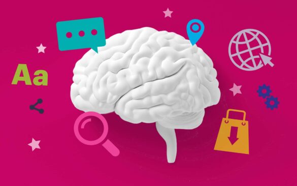 Neuroscience And Beauty | Itmunch