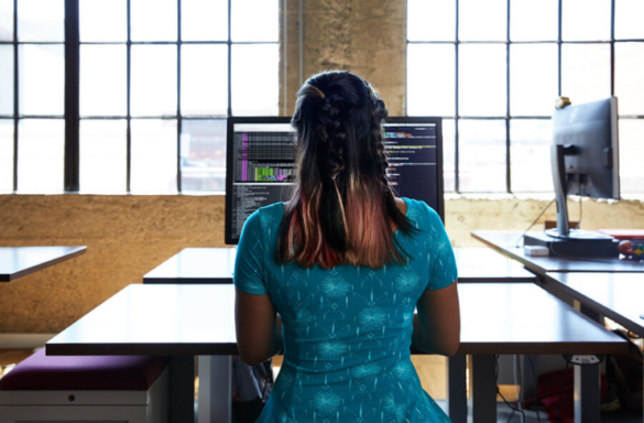 A Lady Using The Computer | Itmunch