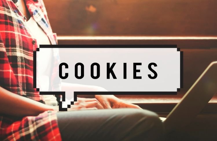 Internet cookies during online shopping 