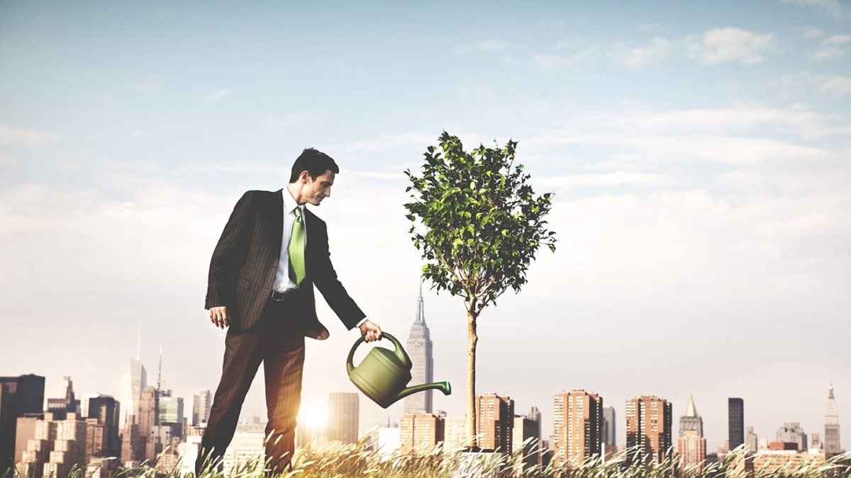 Sustainable Solutions: Mastering Environmental Permitting for Business Success