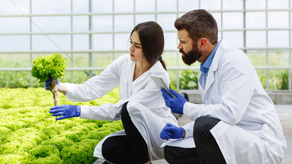 Smart Agriculture: AI’s Role in Feeding the Future