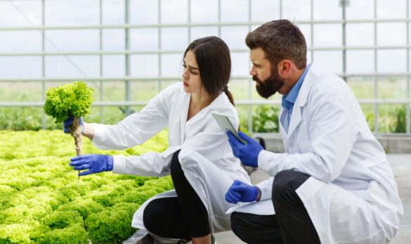 Agriculture