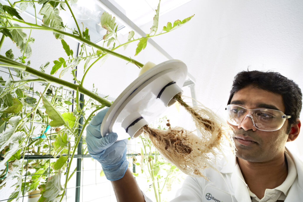 Smart Agriculture: Ai'S Role In Feeding The Future 1 Smart Agro