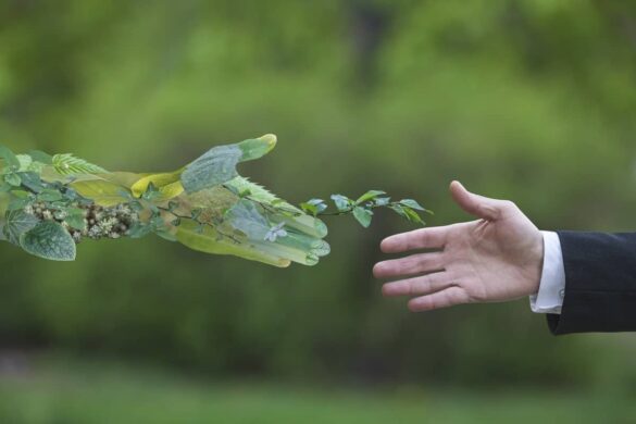 Environmental Conservation With Ai