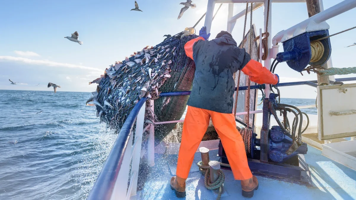 Fishing Industry: Sustainable Practices Guided by AI