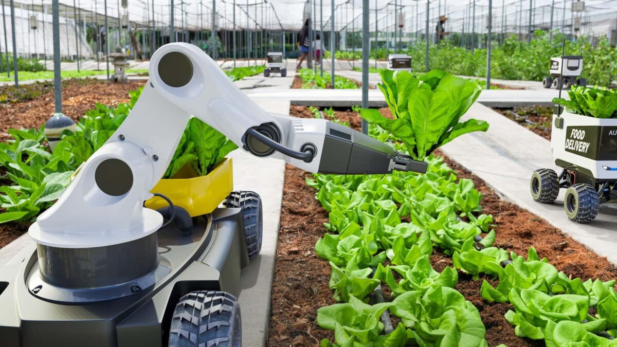 The Role of Robotics in Revolutionizing Agriculture