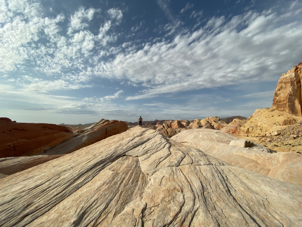 Apple Iphone 11 Review: Is It Still Worth Buying In 2025? 2 Image 128